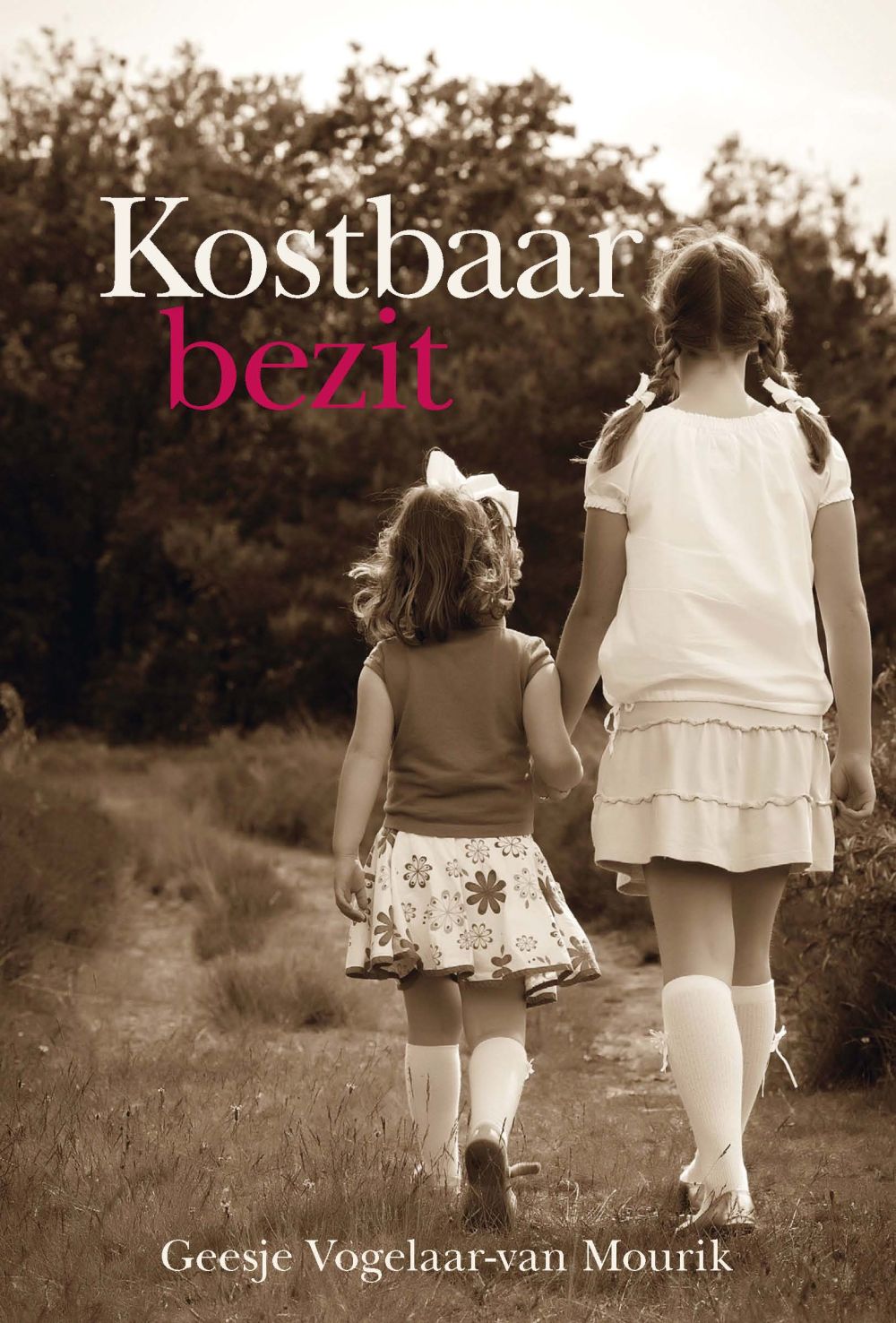 Kostbaar bezit; E-book